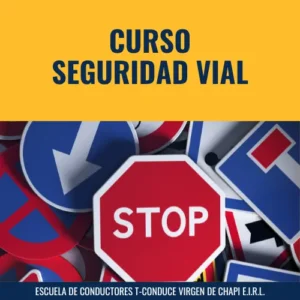 CURSO SEGURIDAD VIAL